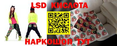 шишки Сланцы
