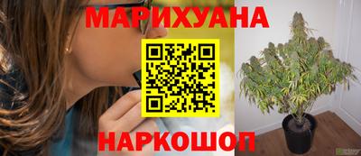 шишки Сланцы