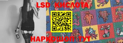 прущие крисы Славгород