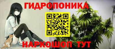 шишки Сланцы