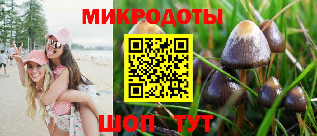 Псилоцибиновые грибы Magic Shrooms  Псилоцибиновые грибы Cubensis  Вход с VPN  Нарткала 
